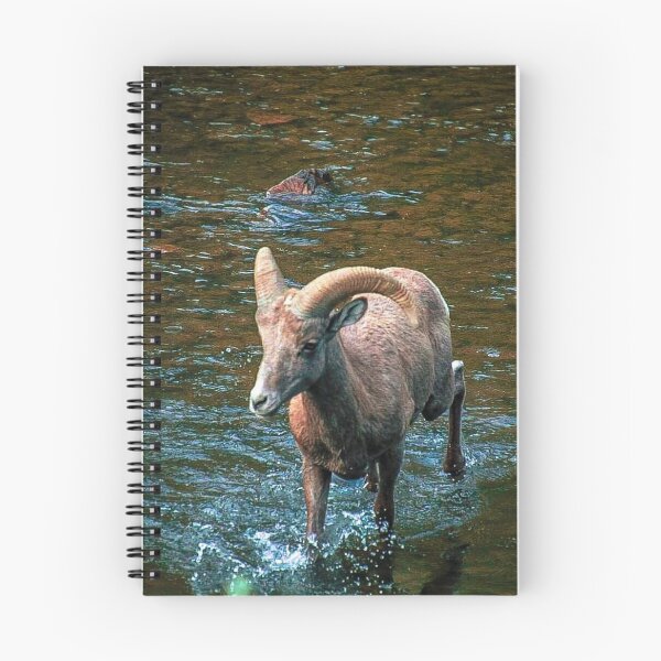 Artikelvorschau, Dickhornschaf im Fluss entworfen und verkauft von LisaMPierce1990.