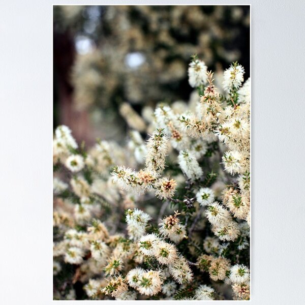 Item preview, - depth perception -  designed and sold by Jan Stead JEMproductions.