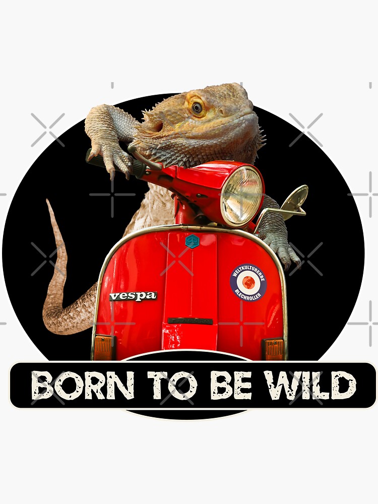 Born To Be Wild - Bearded Dragon On A Vespa by snibbo71