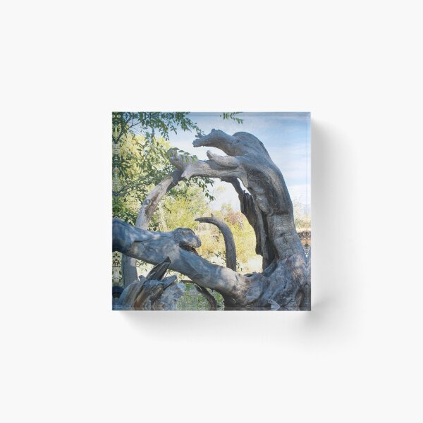Item preview, Scenic forest and mountain nature designed and sold by Ventures1.