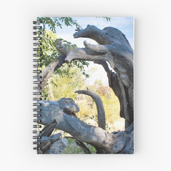 Item preview, Scenic forest and mountain nature designed and sold by Ventures1.