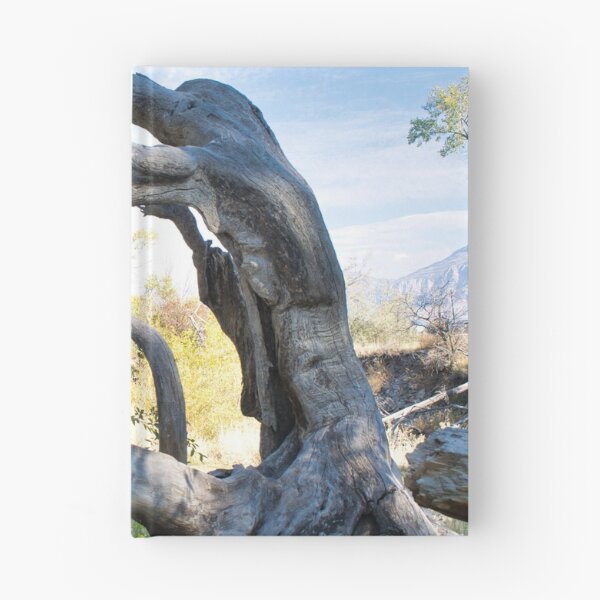 Item preview, Scenic forest and mountain nature designed and sold by Ventures1.