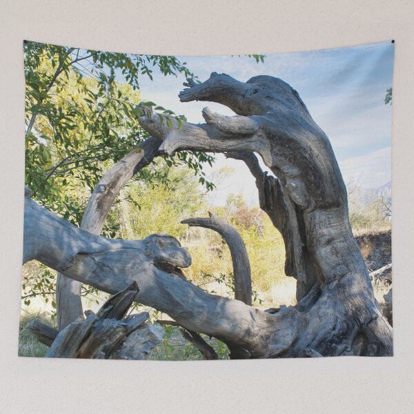 Item preview, Scenic forest and mountain nature designed and sold by Ventures1.