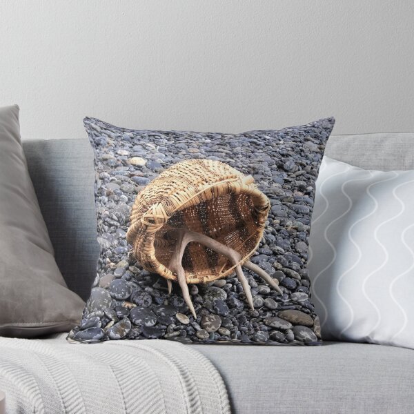 Item preview, Rocky Beach and Basket Weaving designed and sold by WeepingGrove.