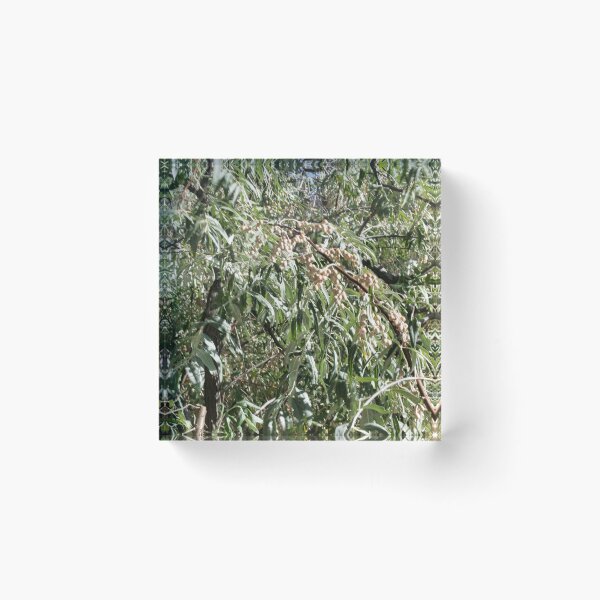 Item preview, Scenic forest and mountain nature designed and sold by Ventures1.
