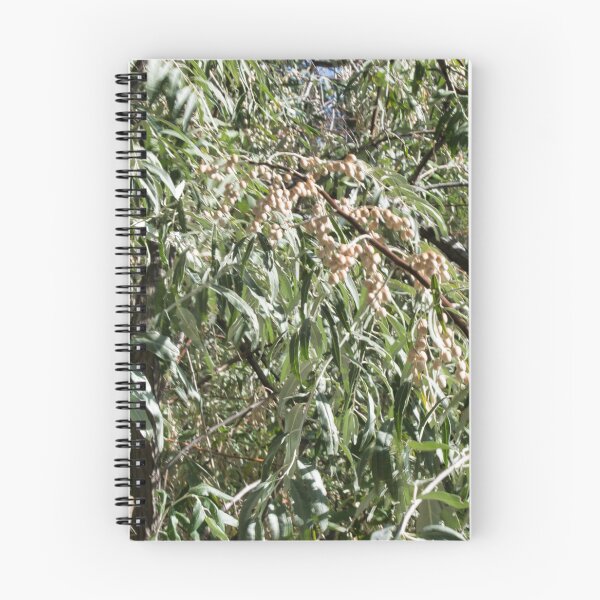 Item preview, Scenic forest and mountain nature designed and sold by Ventures1.