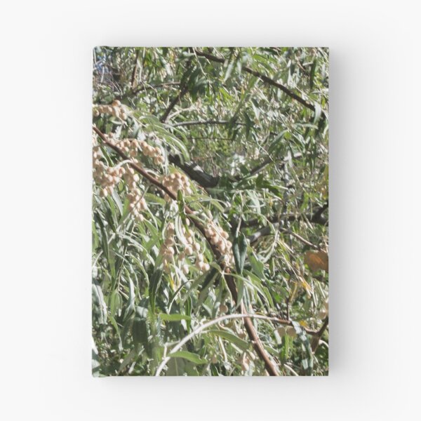 Item preview, Scenic forest and mountain nature designed and sold by Ventures1.