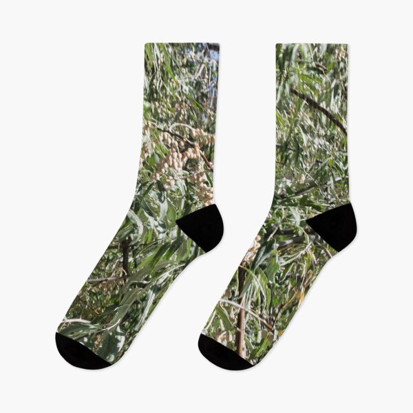 Item preview, Scenic forest and mountain nature designed and sold by Ventures1.