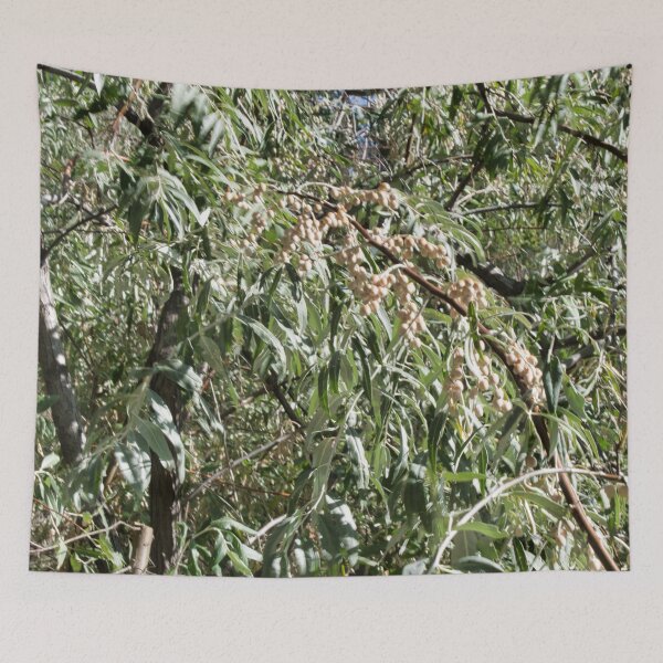 Item preview, Scenic forest and mountain nature designed and sold by Ventures1.