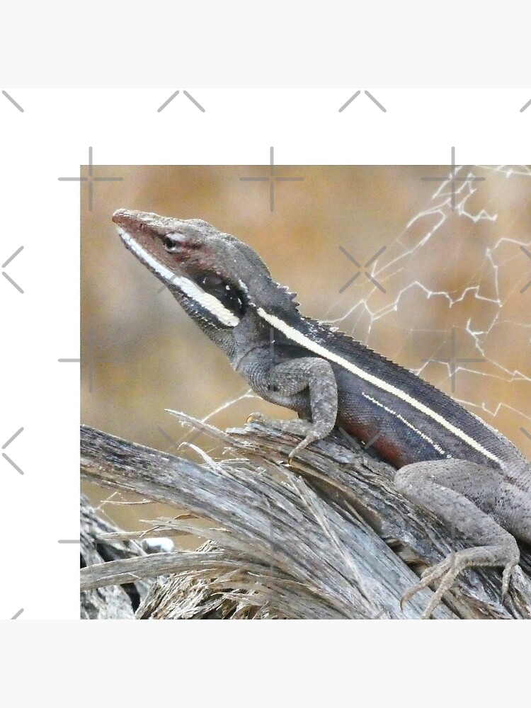 Gilbert's Dragon On a Log by snibbo71