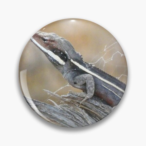 Gilbert's Dragon On a Log Pin
