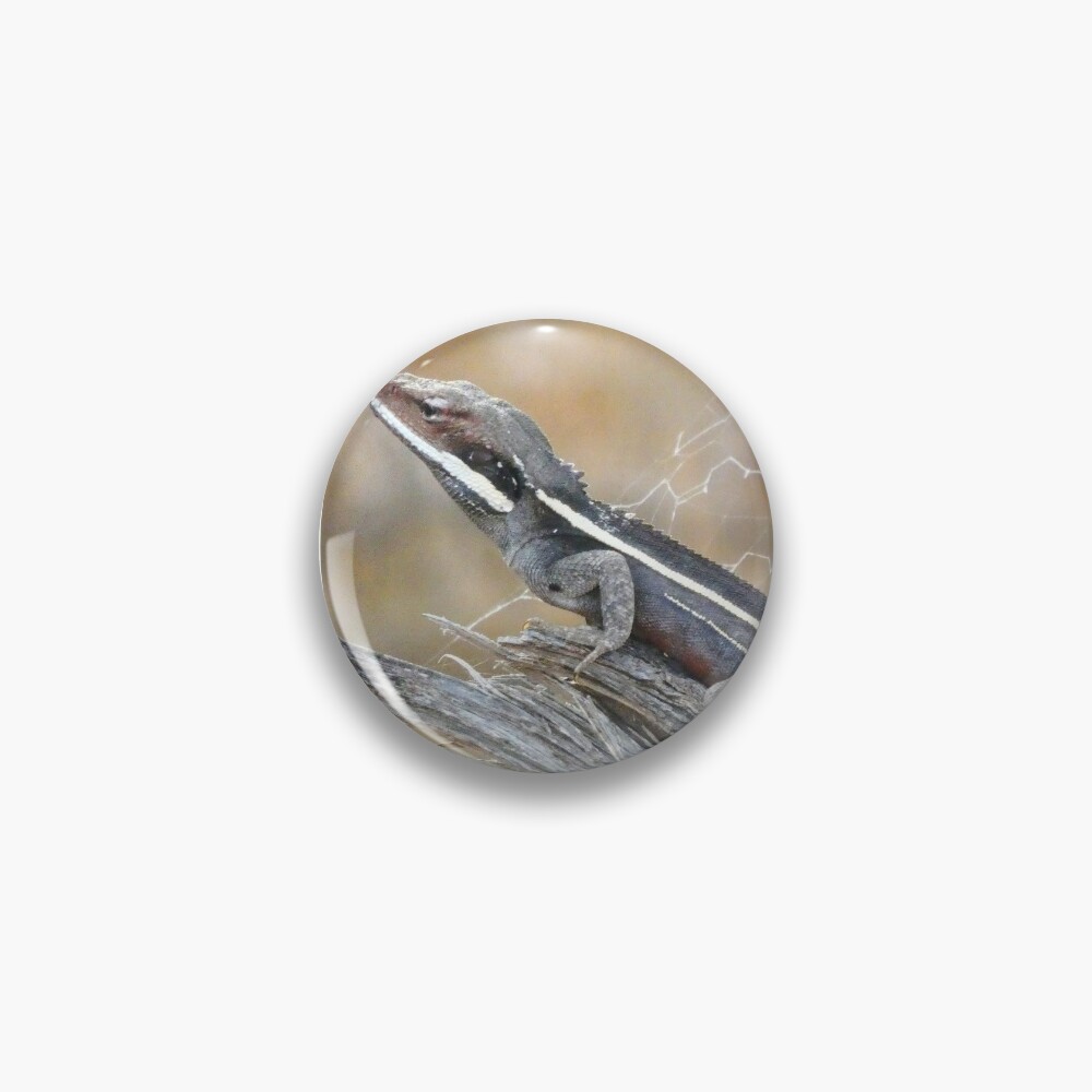 Gilbert's Dragon On a Log Pin