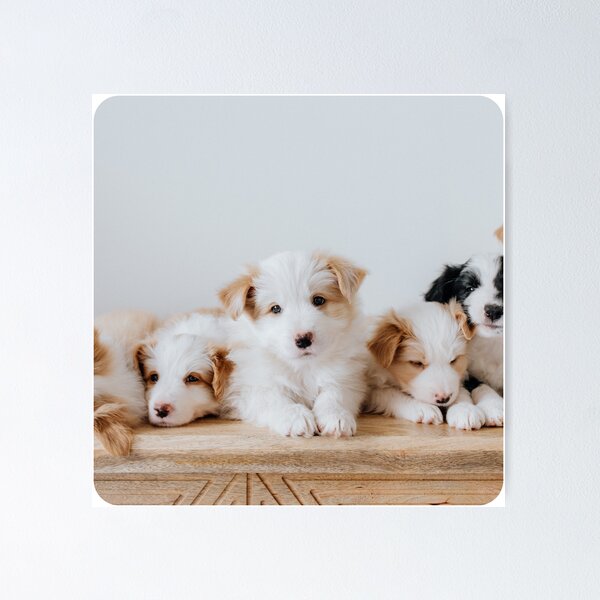 Item preview, Puppies Dogs Man's Best Friend designed and sold by MuscleCarTs.