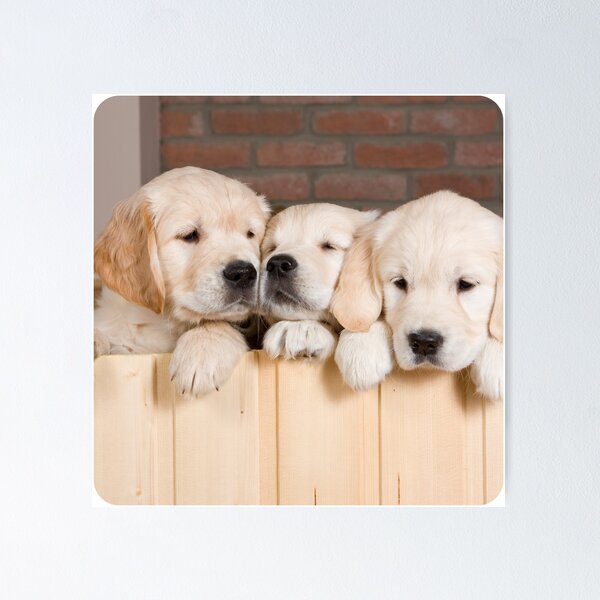 Item preview, Puppies Dogs Man's Best Friend designed and sold by MuscleCarTs.