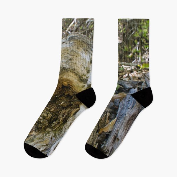 Item preview, Scenic forest and mountain nature designed and sold by Ventures1.