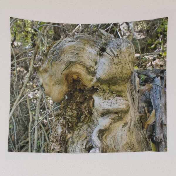 Item preview, Scenic forest and mountain nature designed and sold by Ventures1.