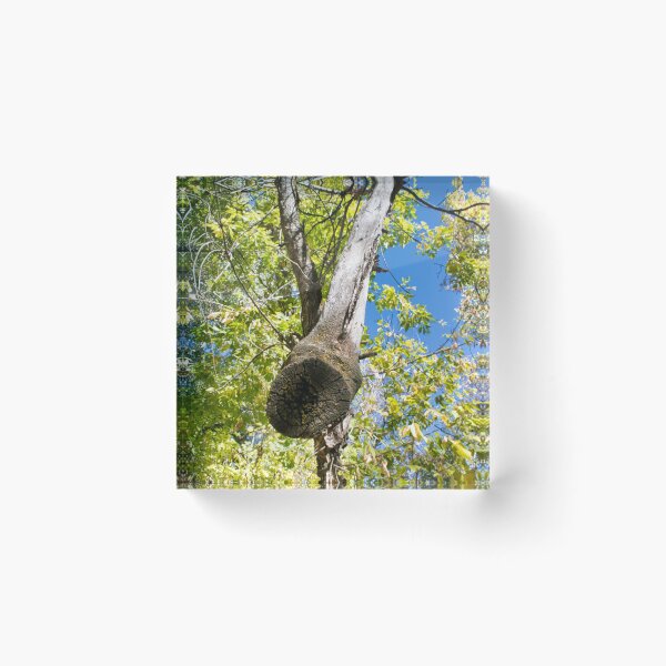 Item preview, Scenic forest and mountain nature designed and sold by Ventures1.
