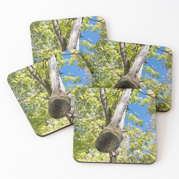 Item preview, Scenic forest and mountain nature designed and sold by Ventures1.