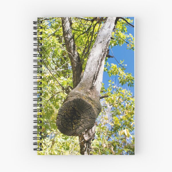 Item preview, Scenic forest and mountain nature designed and sold by Ventures1.