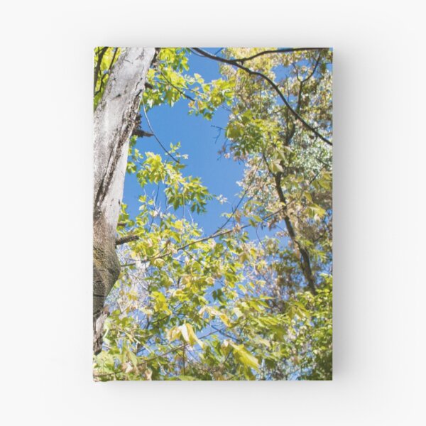 Item preview, Scenic forest and mountain nature designed and sold by Ventures1.
