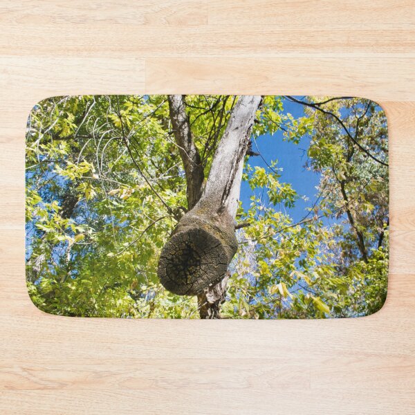 Item preview, Scenic forest and mountain nature designed and sold by Ventures1.