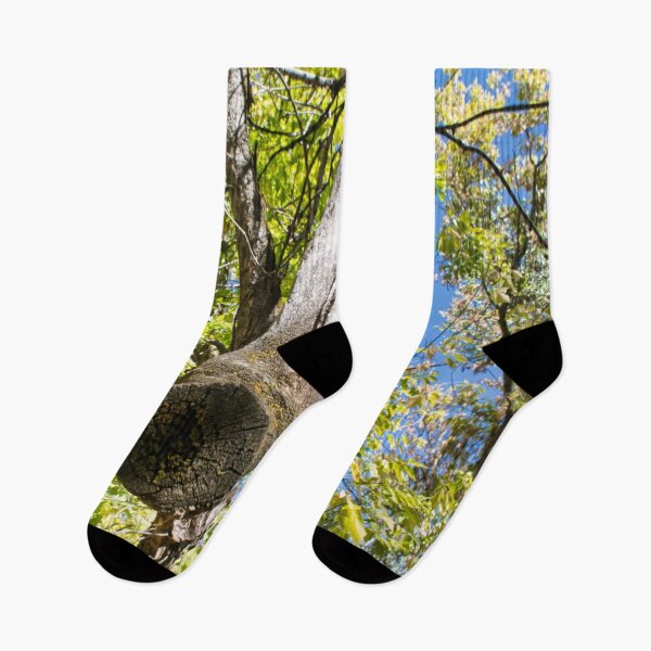 Item preview, Scenic forest and mountain nature designed and sold by Ventures1.