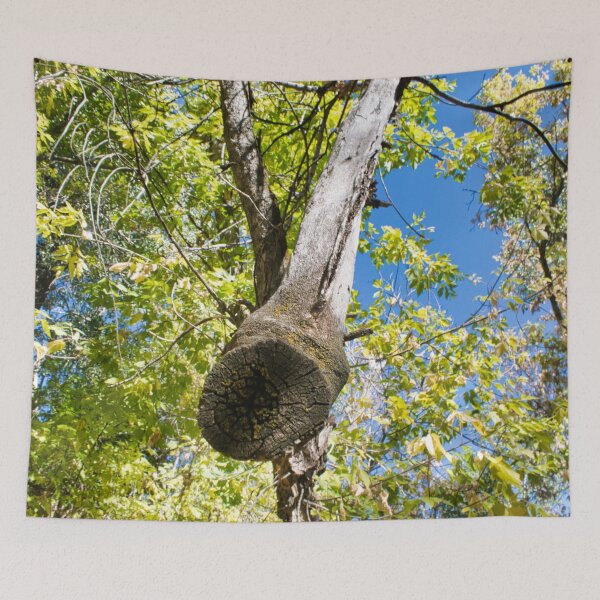 Item preview, Scenic forest and mountain nature designed and sold by Ventures1.