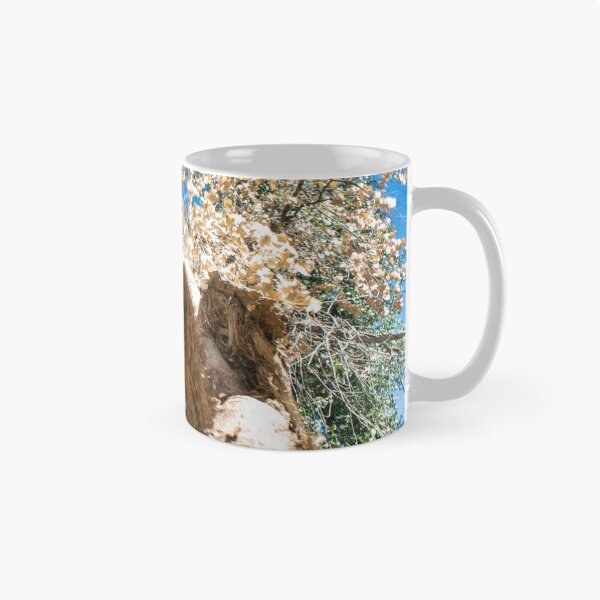 Item preview, Scenic forest and mountain nature designed and sold by Ventures1.