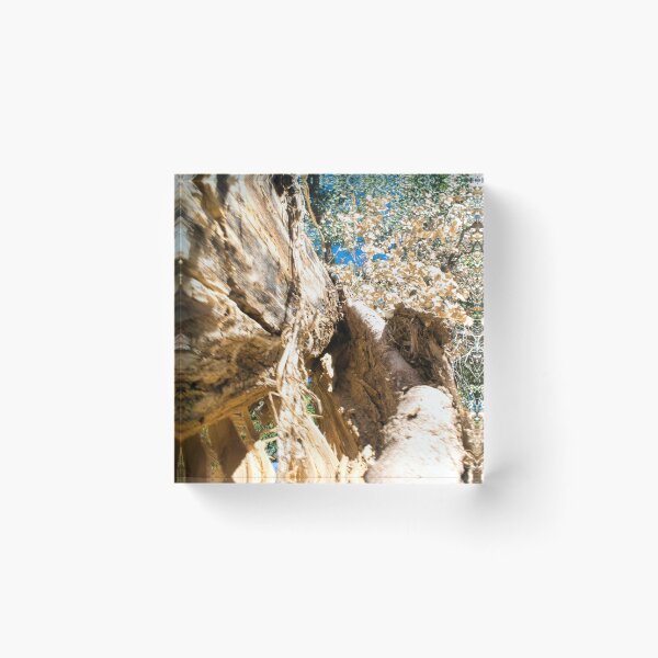 Item preview, Scenic forest and mountain nature designed and sold by Ventures1.