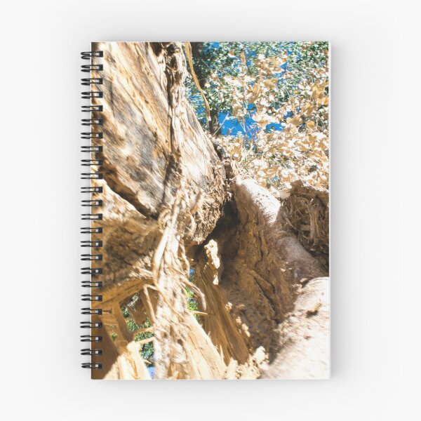 Item preview, Scenic forest and mountain nature designed and sold by Ventures1.
