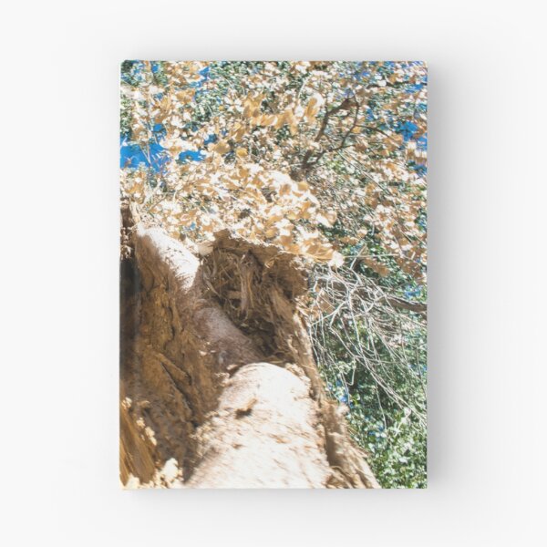 Item preview, Scenic forest and mountain nature designed and sold by Ventures1.