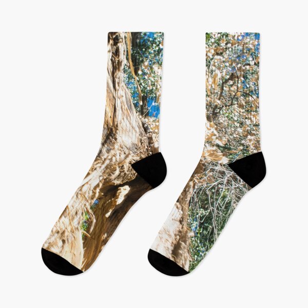 Item preview, Scenic forest and mountain nature designed and sold by Ventures1.