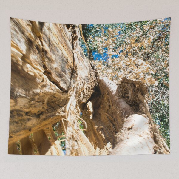 Item preview, Scenic forest and mountain nature designed and sold by Ventures1.