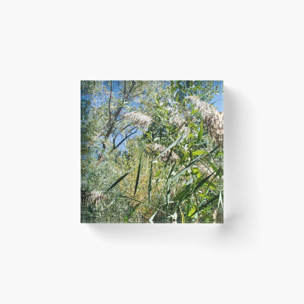 Item preview, Scenic forest and mountain nature designed and sold by Ventures1.