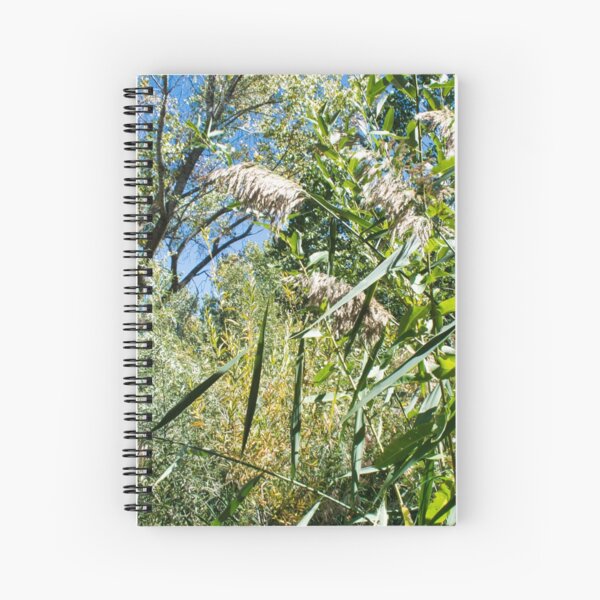 Item preview, Scenic forest and mountain nature designed and sold by Ventures1.