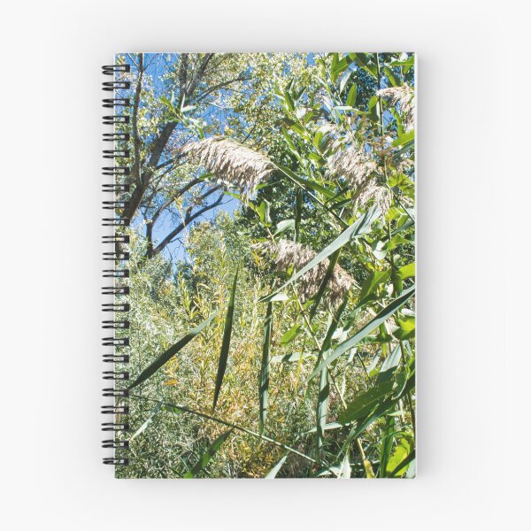 Item preview, Scenic forest and mountain nature designed and sold by Ventures1.