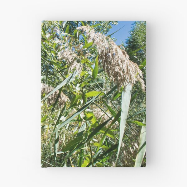 Item preview, Scenic forest and mountain nature designed and sold by Ventures1.