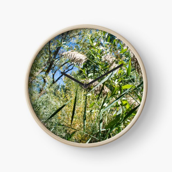 Item preview, Scenic forest and mountain nature designed and sold by Ventures1.