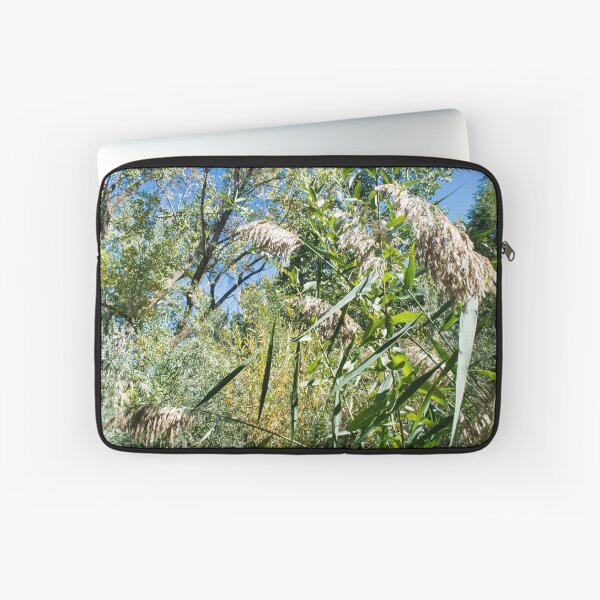 Item preview, Scenic forest and mountain nature designed and sold by Ventures1.