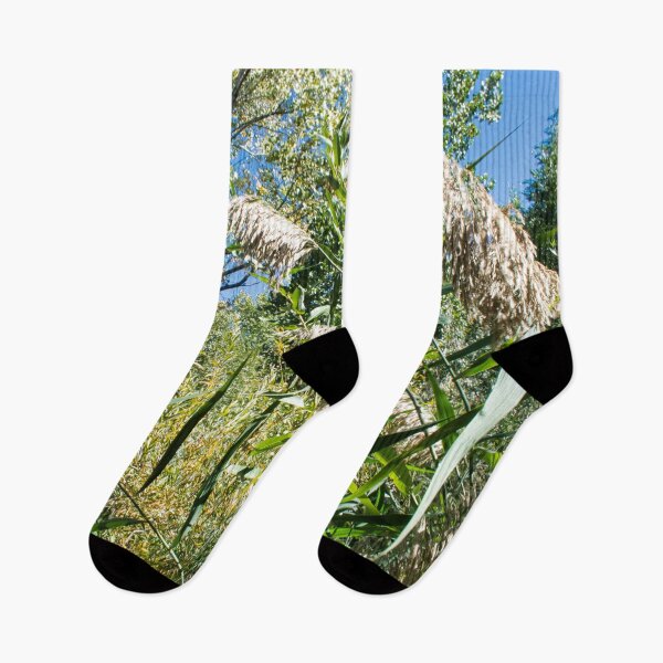 Item preview, Scenic forest and mountain nature designed and sold by Ventures1.
