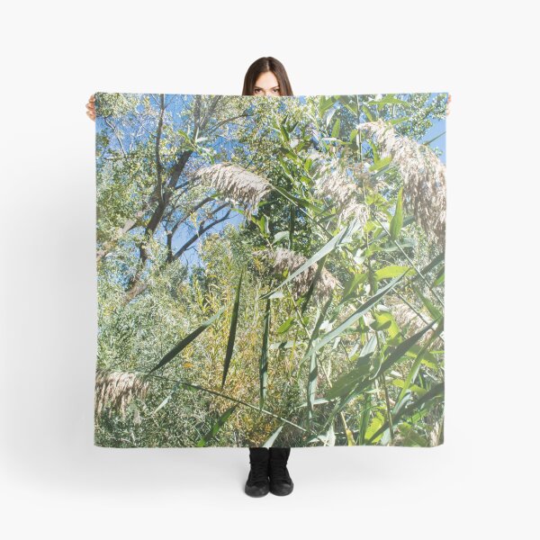 Item preview, Scenic forest and mountain nature designed and sold by Ventures1.