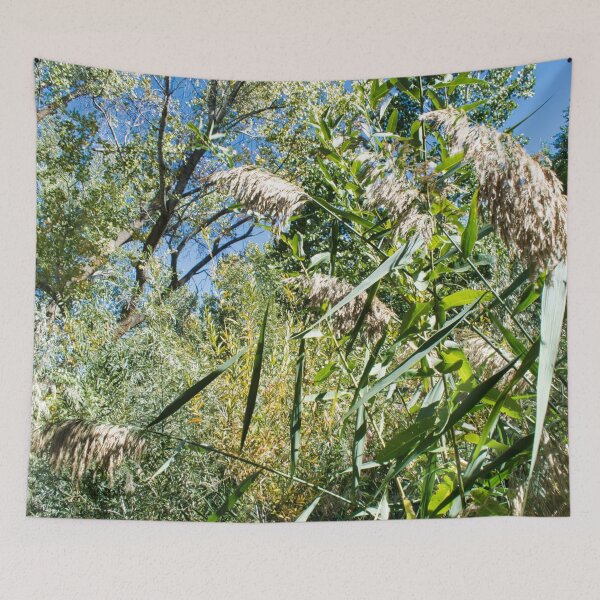 Item preview, Scenic forest and mountain nature designed and sold by Ventures1.