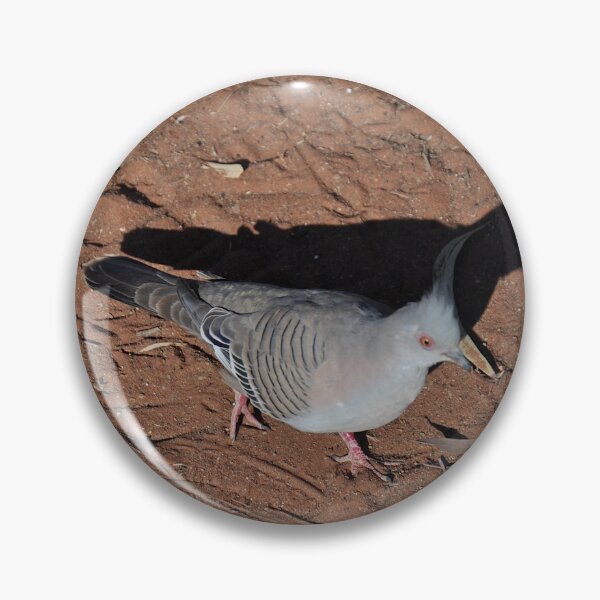 Item preview, Bird, Erldunda, Australia 20190910 designed and sold by muz2142.