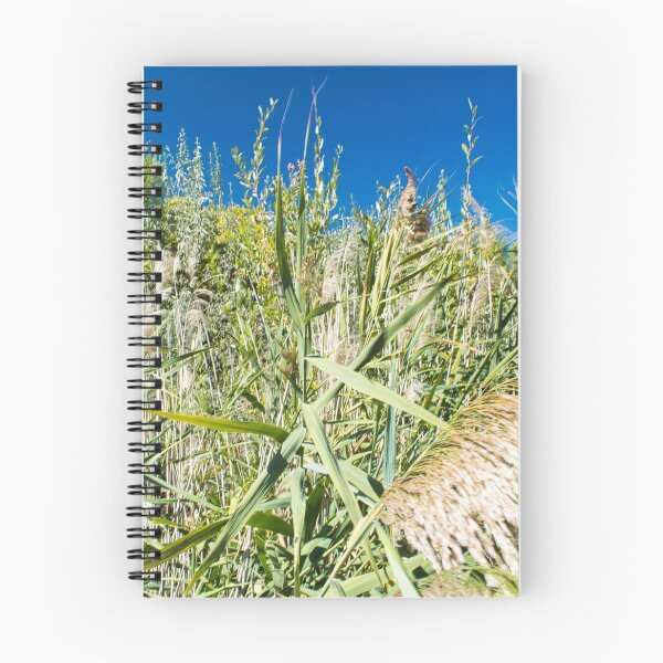 Item preview, Scenic forest and mountain nature designed and sold by Ventures1.