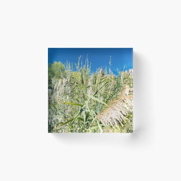 Item preview, Scenic forest and mountain nature designed and sold by Ventures1.