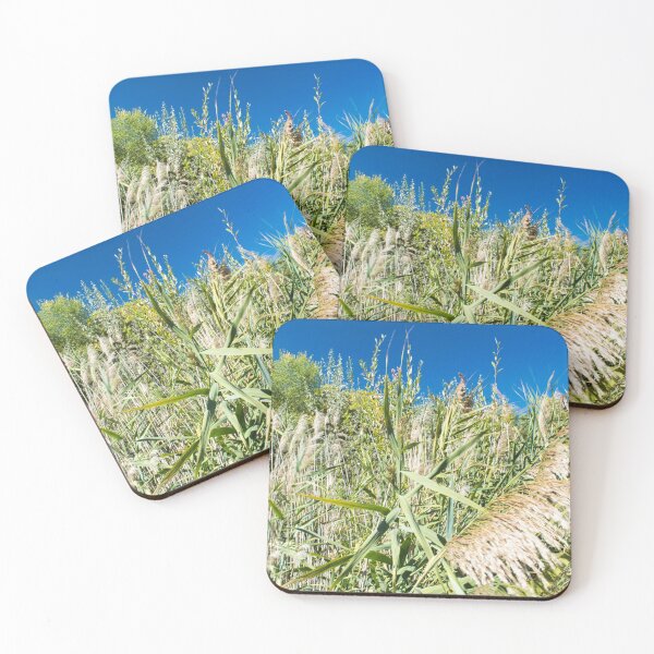 Item preview, Scenic forest and mountain nature designed and sold by Ventures1.