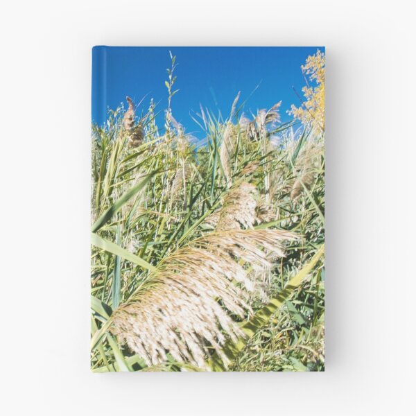 Item preview, Scenic forest and mountain nature designed and sold by Ventures1.