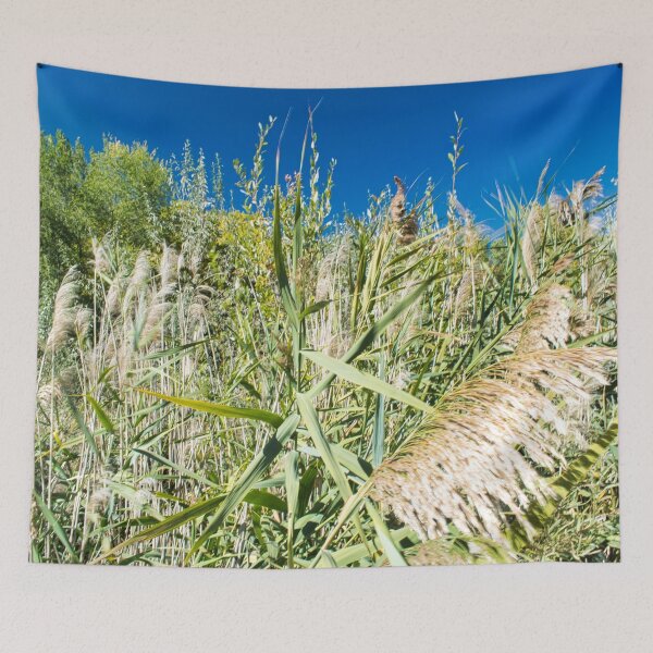 Item preview, Scenic forest and mountain nature designed and sold by Ventures1.