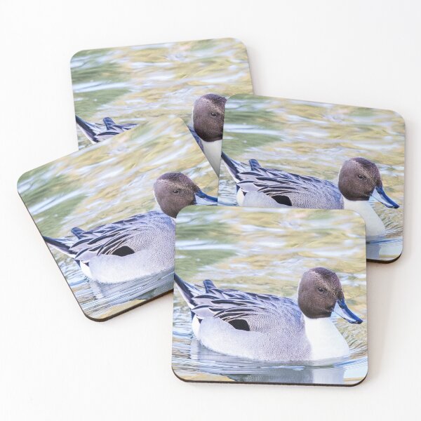 Item preview, Northern Pintail Drake designed and sold by May Finch.
