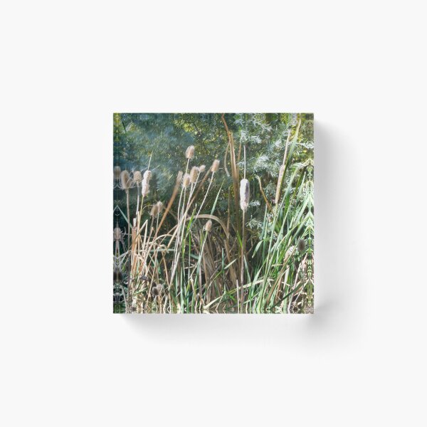 Item preview, Scenic forest and mountain nature designed and sold by Ventures1.